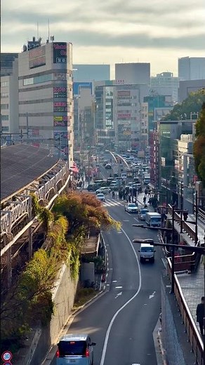 À la découverte du Japon 🇯🇵
