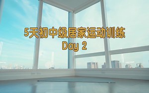 5天初中级居家运动训练合集 (2) 全身+核心群有氧运动【BIGSIS健身馆】