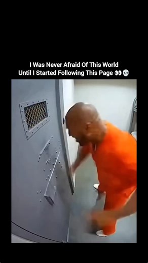 Knowledge Work on Instagram: "A terrifying scene unfolds inside a confined lockup as a massive green anaconda displays its overwhelming power. The world’s heaviest snake doesn’t depend on venom—its strength lies in speed, precision, and crushing coils that close in within moments. In a restricted space, even the smallest movement becomes a risk as the anaconda’s constriction rapidly shuts down blood flow and breathing. Designed by nature to dominate, the green anaconda possesses dense, water-bui