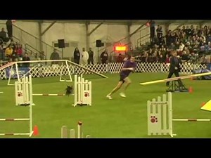 Ashley Deacon and Luka 2009 AKC Invitational - Final