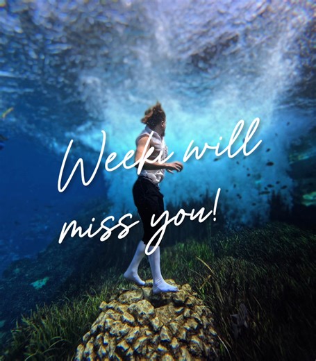 Weeki Wachee Springs State Park on Reels