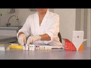 ELISA-Testsysteme in der Autoimmundiagnostik (Autoimmunität)