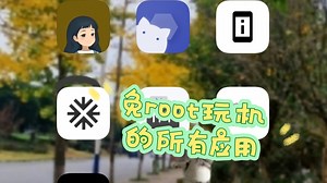 给大家盘点一下免root玩机的所有常见应用