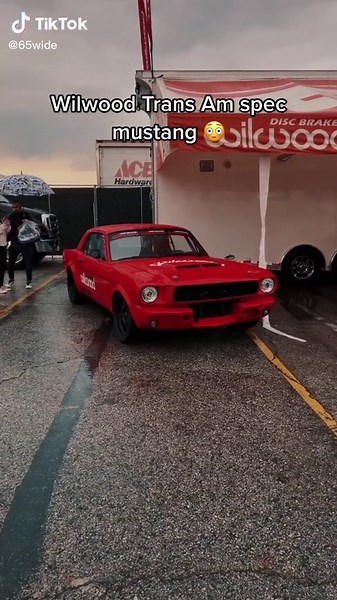 I think this 65 might be one of my dream builds… so well done #mustang #ford #fordmustang #classicmustang #classiccar #fyp #foryou #classic #carlovers #1965