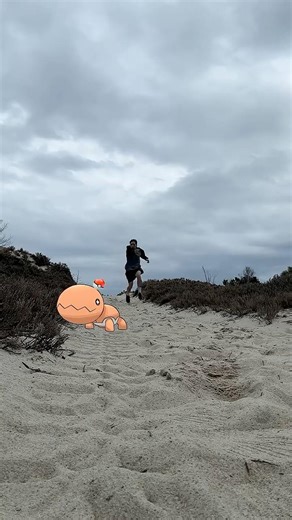 Trapinch - Pokémon Catch #pokémon #gaming #videogames