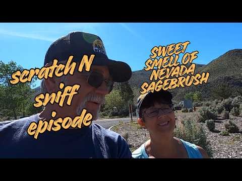 Why This Nevada Lake Campground BEATS Expensive Resorts #rvlife
