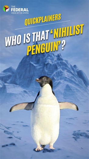 He’s not rejecting life — he’s just a confused penguin | #Quickplainers A lone penguin walking away from its colony toward distant icy mountains has taken over the internet as the “Nihilist Penguin.” The clip has sparked jokes about rebellion and existential crisis, but scientists say otherwise. Here’s what’s actually happening — and why experts say there’s no reason to panic. #NihilistPenguin #PenguinMeme #Mountains #Trending #Anthropomorphism #Explainers | The Federal