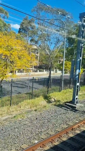 Why is Australia so Beautiful? Australian suburbs are beautiful due to their blend of open green spaces like road, transport, parks & gardens, access to natural amenities, & a high quality of life that includes both convenience & leisure. The lifestyle often associated with suburbs, such as family-friendly environments, community spaces, & outdoor activities, contributes to their appeal & is often praised by residents. Share this reel with your friends & family. #aussielife #aussie #travel #tree