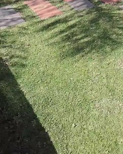 2.1K views · 80 reactions | LOOK LIKE WE CLOSE TO SUMMER LETS CLEAN OUR POOLS☺☺ | Eazy Forex | Facebook