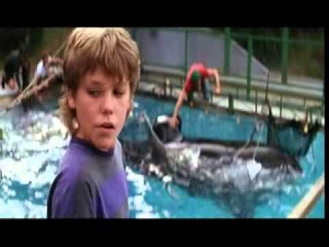 Free Willy 1 (1993) trailer