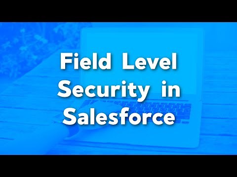 Field Level Security Explained | Field Level Security in Salesforce | Salesforce Security Tutorials