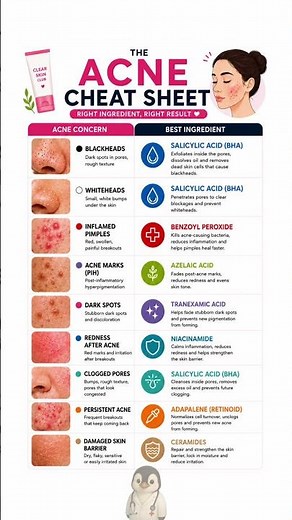 The Ultimate Acne Cheat Sheet Best Ingredients for Every Skin Concern ✨