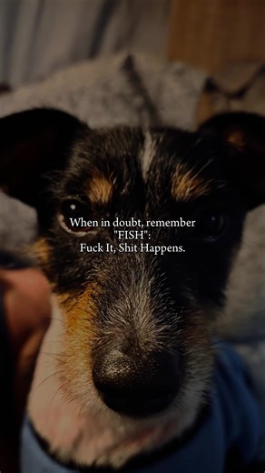 F.I.S.H. 🐟 Fuck it. Shit happens. Spilled the coffee? F.I.S.H. Sent the risky text? F.I.S.H. Life didn’t go to plan again? Say it with me… F.I.S.H. and move on 😂 Because stressing won’t fix it, but laughing definitely helps. #FuckItShitHappens #RelatableAF #LaughAndMoveOn #fyp #viral