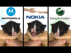 Kitten Meows but famous phone ringtones (2)