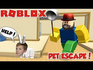 ESCAPE PET SHOP in ROBLOX / DON'T GET CAUGHT BY A GIANT NOOB!