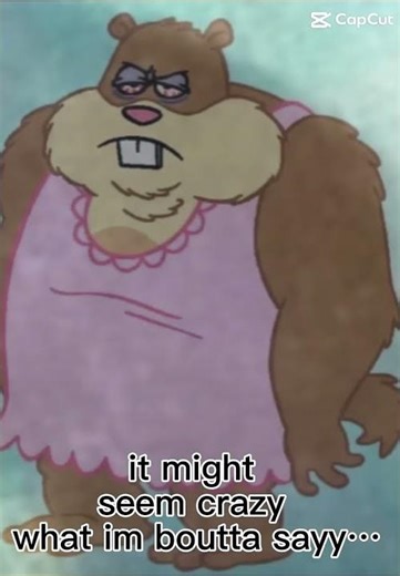 Hibernation Sandy ￼