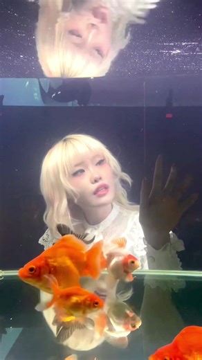 Exploring the Meaning of Nymphology