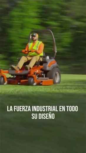 WhatsApp Video 2025 09 15 at 5 04 13 PM