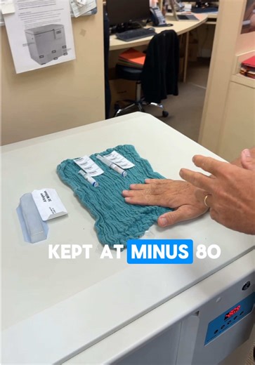 What Do Stem Cells Look Like Out of the Freezer?