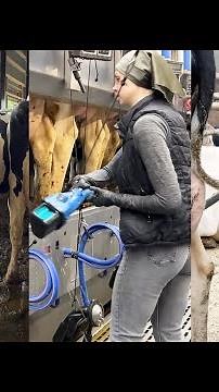 Farm Girls on the Modern Farm - Compilation 10 | Milking Cows | Trimming Tails | Pregnant Test