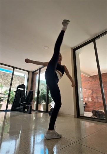 Ale ale ale alé alé