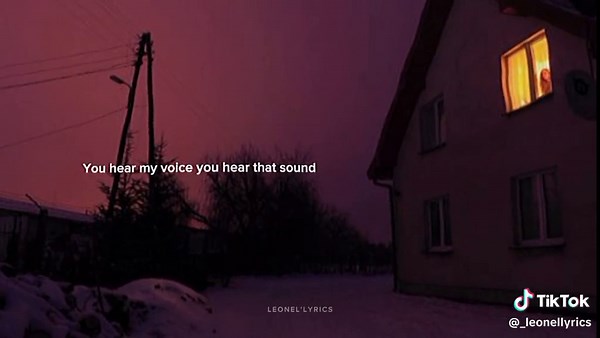 Roar #kattyperry #lyrics_songs #lyrics #music #leonellyrics #fypシ゚viral #foryourpage