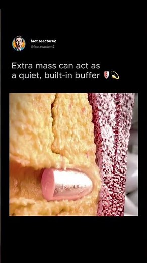 ⚠️🧬 Can Extra Body Fat Stop a Bullet?