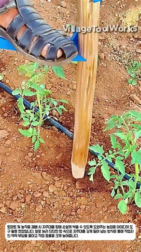 발만 올려놓으면 끝? 농가 필수 아이템 지주대 도구 #worker #process #lifehacks #skills #method