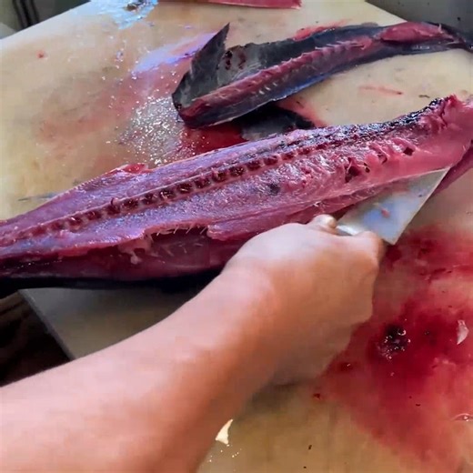 How to Prepare Fresh Bonito! | Hiroyuki Terada - Sushi Master