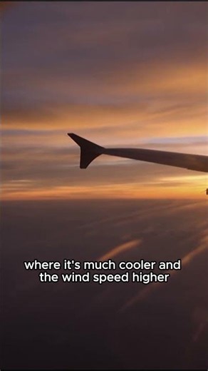 Why Cuckoos Fly At 5,000 Meters