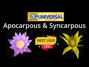 Difference between Apocarpous & Syncarpous ovary (NEET & CBSE)