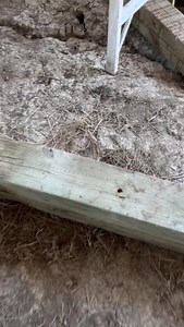 353K views · 936 reactions | Guess who’s back??  Find SPAX® in stock at a store nearest you: https://spax.us/where-to-buy  #houdini #drilling #construction #SPAXfactor #SPAXusa #eminem #trendingsound #powerlag | SPAX U.S. | Facebook