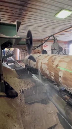 Big Pin Oak Milling Process at the Sawmill
