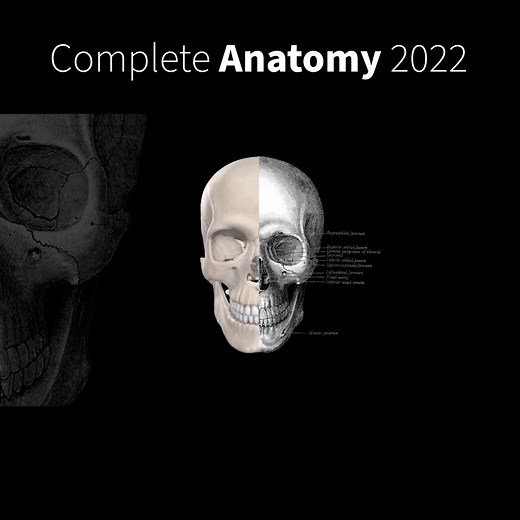 295 reactions · 43 shares | Introducing Complete Anatomy 2022. The latest update to the world's most advanced 3D anatomy platform. Install now. | Complete Anatomy | Facebook