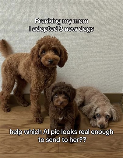 pranking my mom i adopted 3 new dogs! #aiprank #ai #fyp #funnyprank #viral