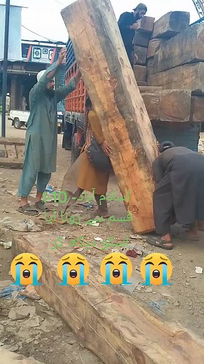 Lifting Heavy Logs: Traditional Outdoor Work Scene