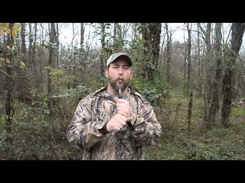 BH 92 Boss Hog Call for pigs