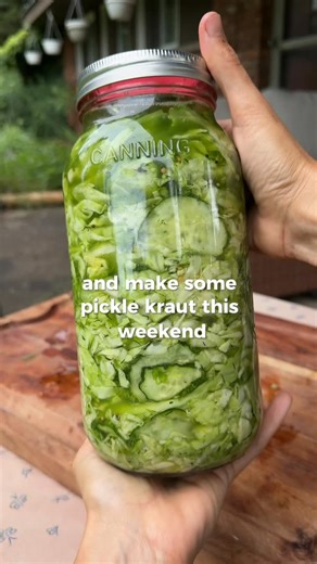 Alex Rosenberg-Rigutto on Instagram: "DILL PICKLE KRAUT! A pickle gorls (meee) dream! This recipe combines classic dill pickle ingredients and spices with crispy new season cabbage for a flavorful fermented treat. We lean on our handy garlic scapes for the pungent flavor since bulb garlic isn’t quite ready yet. DILL PICKLE KRAUT (makes 1/2 gallon) Ingredients: •2 medium green cabbages •6 pickling cucumbers •4-5 garlic scapes •1 large bunch of dill •2 tablespoons mustard seeds •2 tablespoons mine