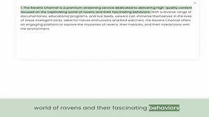 focused on the captivating world of ravens and their fascinating behaviors. With a diverse range of