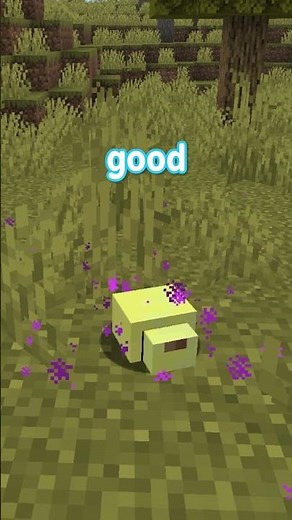 making you a custom minecraft mob part thirteen...