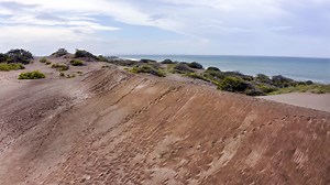 9.5K views · 94 reactions | There is a 9-mile stretch of undulating landscape on the southern coast of the Dominican Republic. These hills are sand dunes. Some are so big—the tallest tops out at more than 114 feet high—you can sandboard on them. This Great Big Story was made possible by República Dominicana. | Great Big Story | Facebook