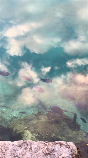 A veces la vida nos pide detenernos un momento y mirar con más atención. Cuando observas con presencia, descubres que hay belleza por todos lados y la vida te sorprende. #GiselleVidal #Giselle_regresiones #naturaleza #cielo#feliz