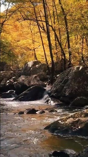 Nature Videos, Download The BEST Free 4k Stock Video Footage & Nature HD Video Clips