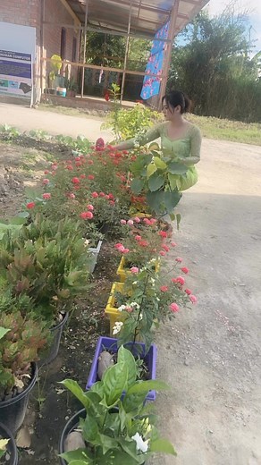 Debarani Chanu on Reels