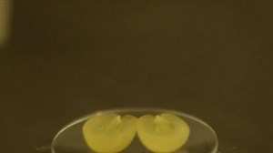 Scientists have dug into a viral YouTube video from 2011 to solve the mystery of why grapes explode into fireballs when cooked together in a microwave oven.