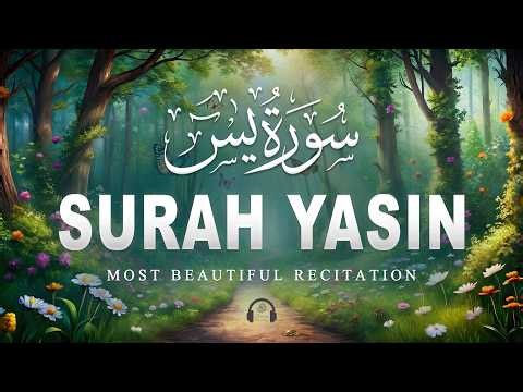 Surah Yaseen سورة يس | Soothing & Beautiful Recitation for Inner Peace by Alaa Aqel Quran for Sleep