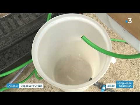 Replay France 3 Occitanie 19/20 Languedoc Roussillon - BioInspir