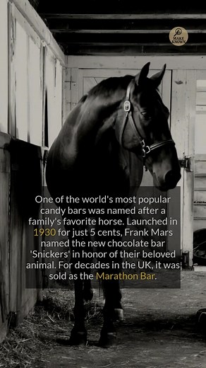 10 fascinating history stories you probably haven't heard! From the real origin of piñatas to a prisoner solving complex math problems, these tales are stranger than fiction. #history #didyouknow #historyfacts #worldhistory | Make Known | Facebook