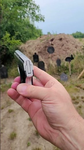 Seecamp .32 ACP Smallest Pistol Ever