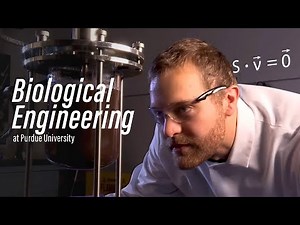 Biological Engineering: Explore the Possibilities at Purdue University